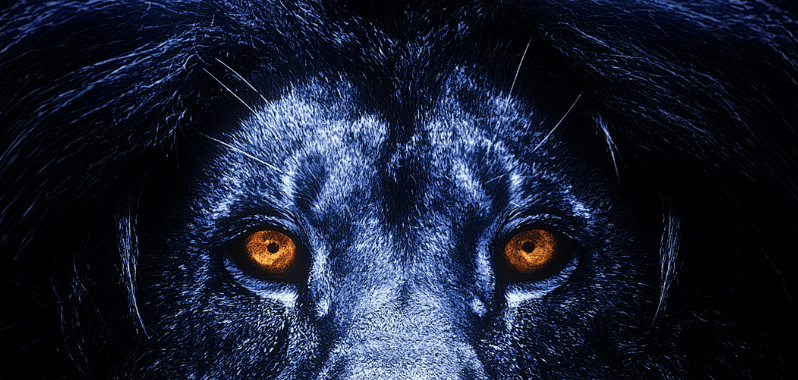 Search Engine Marketing and Short-Form&nbsp;Video